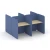 Акация лорка/Romeo-11