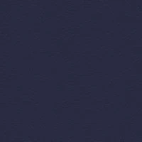 P2 EUROLINE 989 (графитовый серый)